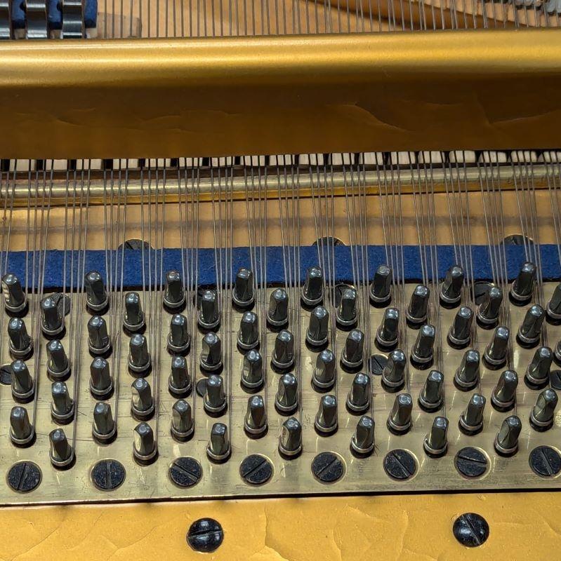 Bluthner Style X grand Piano in rosewood – Gallery image – Roberts Pianos Oxford