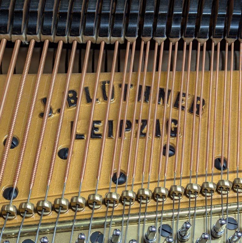 Bluthner Style VII grand Piano in Rosewood – Gallery image – Roberts Pianos Oxford