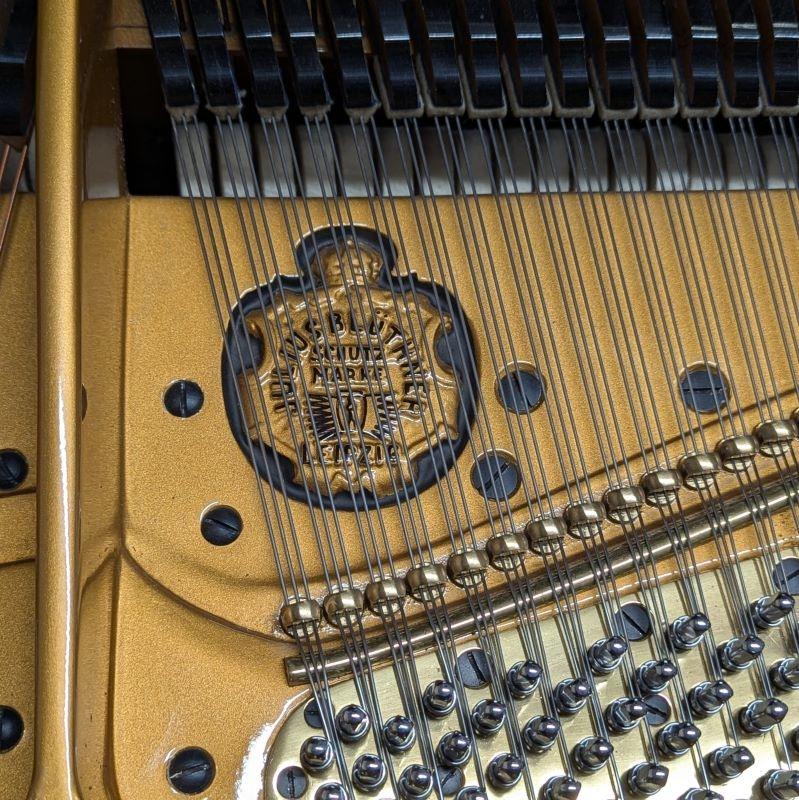 Bluthner Style VII grand Piano in Rosewood – Gallery image – Roberts Pianos Oxford