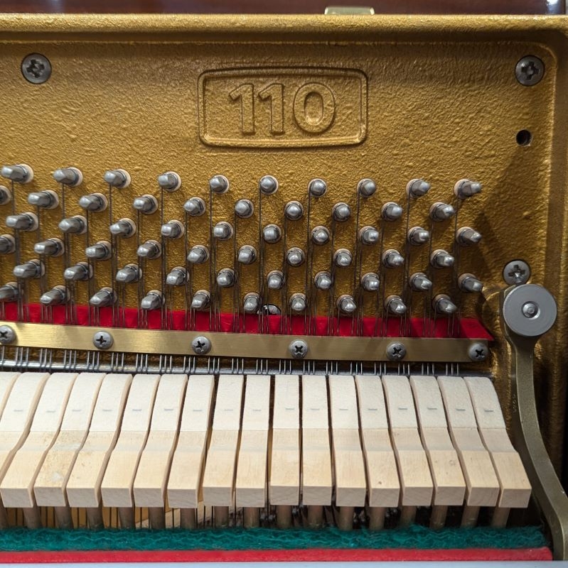 Sauter 110