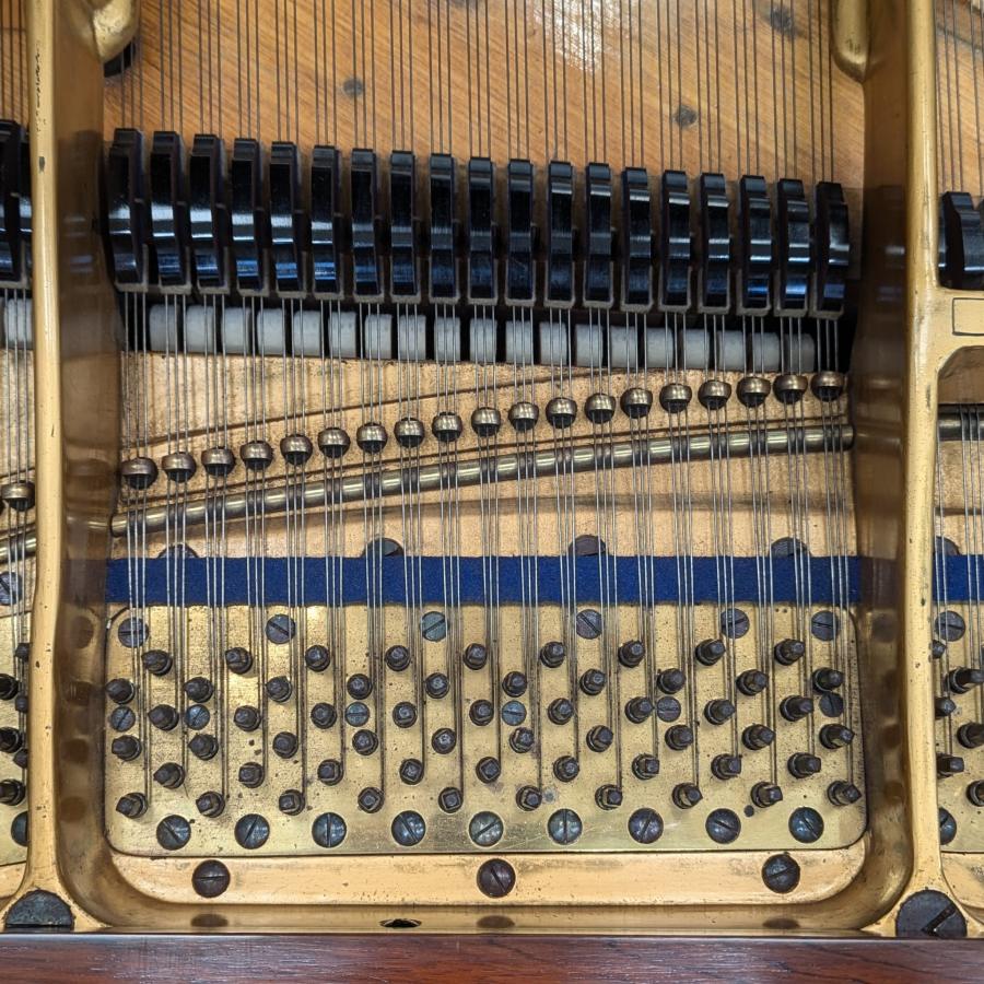 Bluthner VII action conversion grand Piano in rosewood – Gallery image – Roberts Pianos Oxford