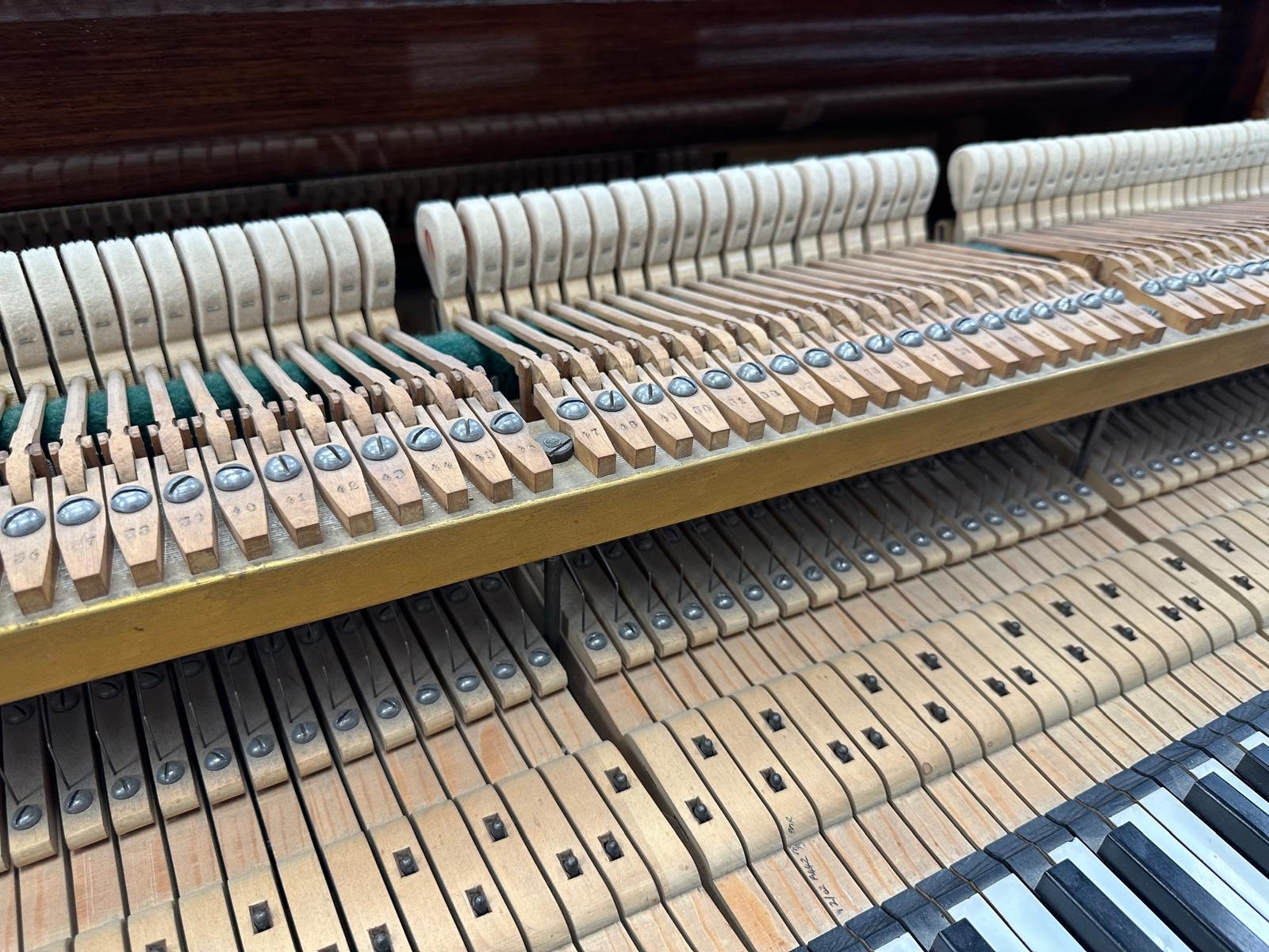 Bluthner V grand Piano in rosewood – Gallery image – Roberts Pianos Oxford