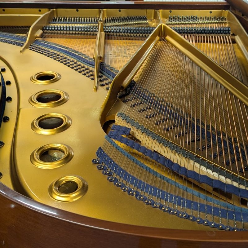 Bluthner VII grand Piano in Rosewood – Gallery image – Roberts Pianos Oxford