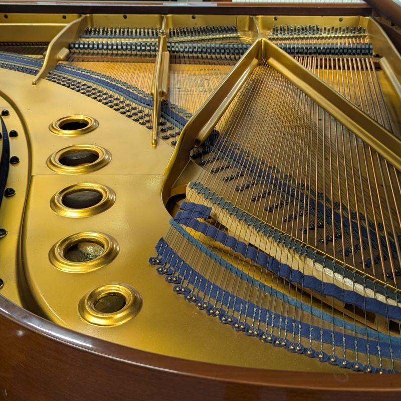 Bluthner VII grand Piano in Rosewood – Gallery image – Roberts Pianos Oxford