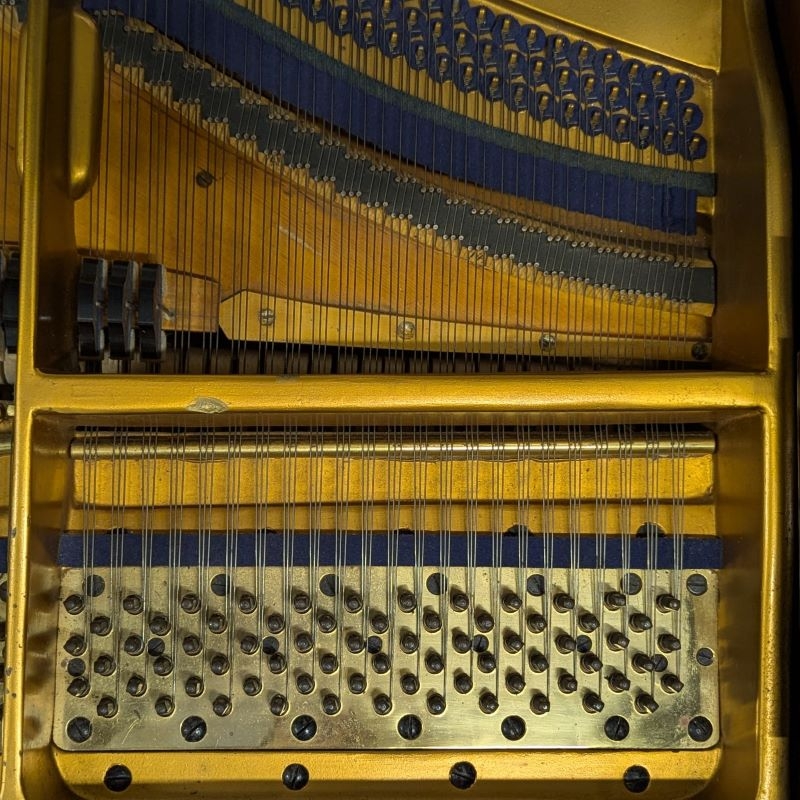 Bluthner VII grand Piano in Rosewood – Gallery image – Roberts Pianos Oxford