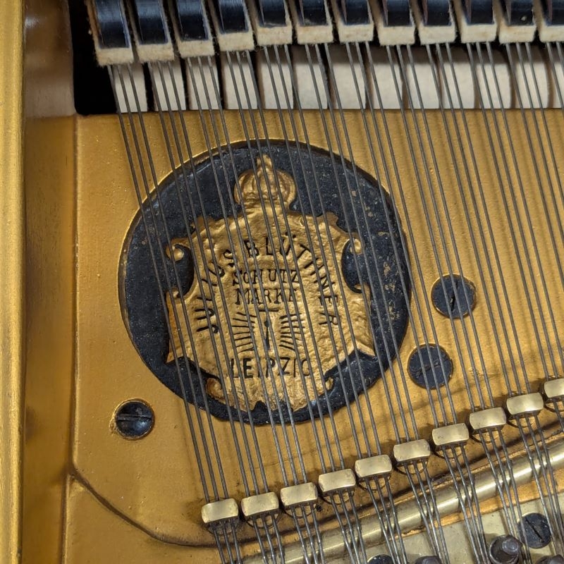 Bluthner VII grand Piano in Rosewood – Gallery image – Roberts Pianos Oxford