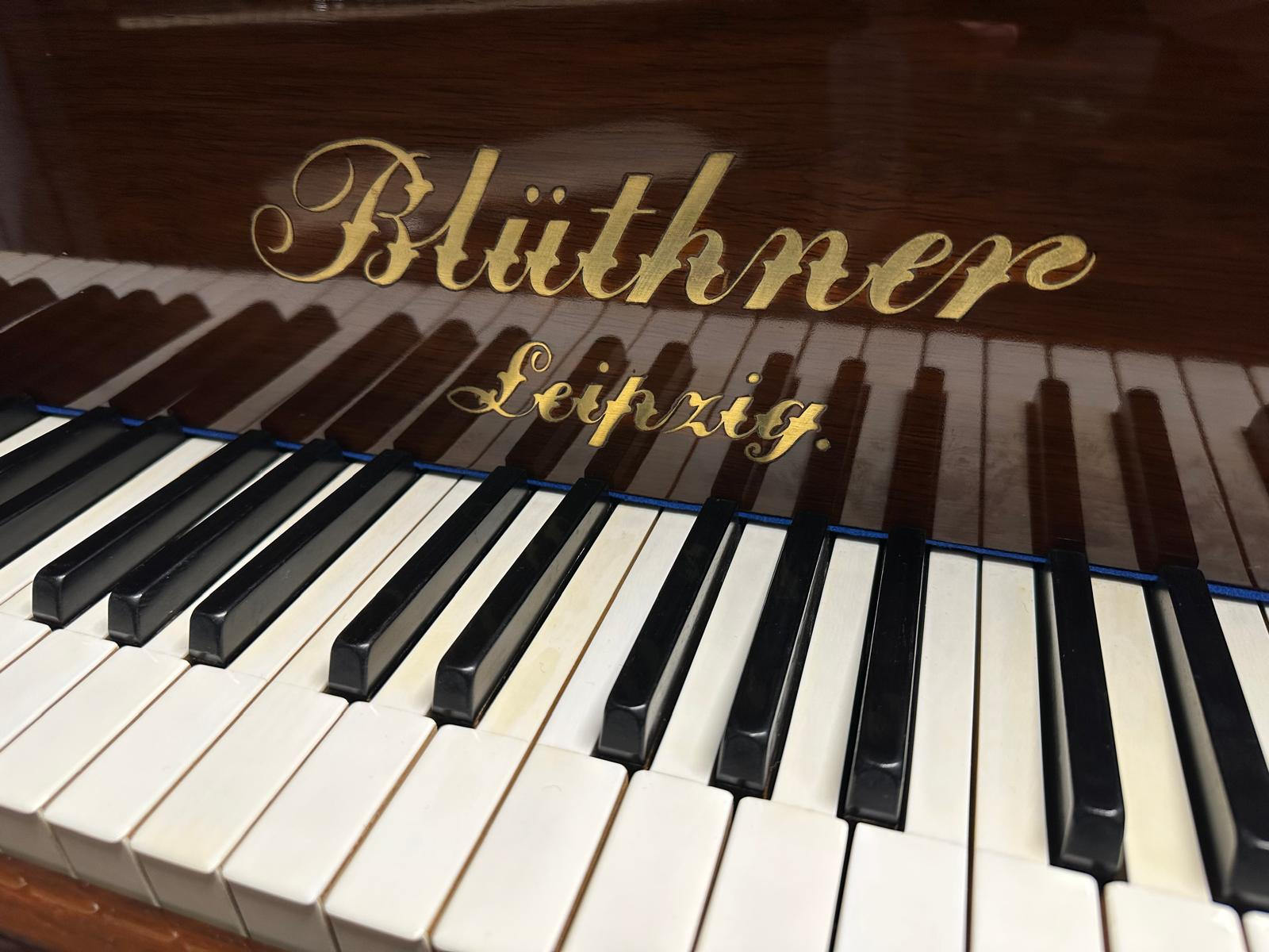 Bluthner style V