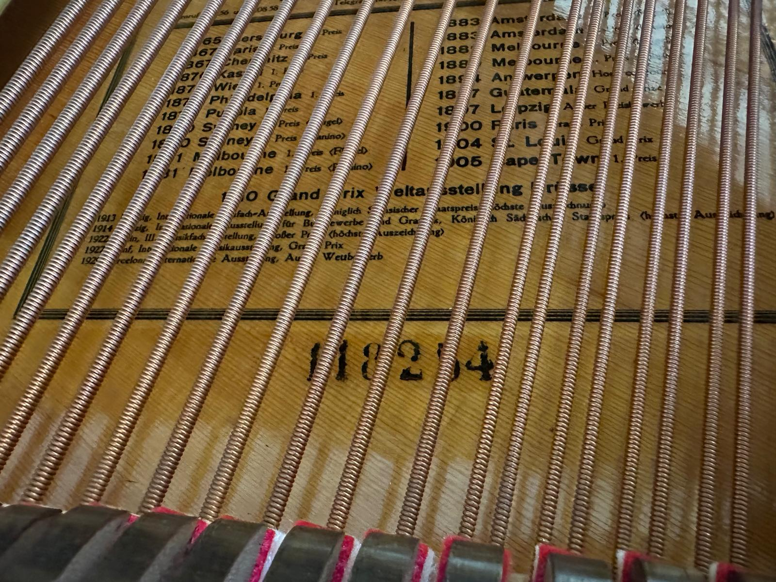 Bluthner Style IV