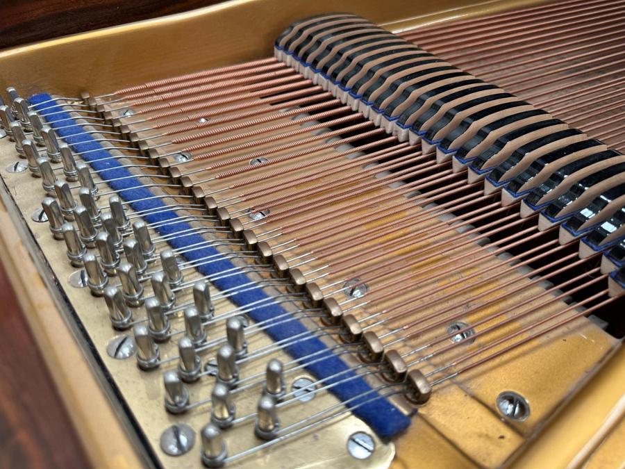 Bluthner VI grand Piano in rosewood – Gallery image – Roberts Pianos Oxford