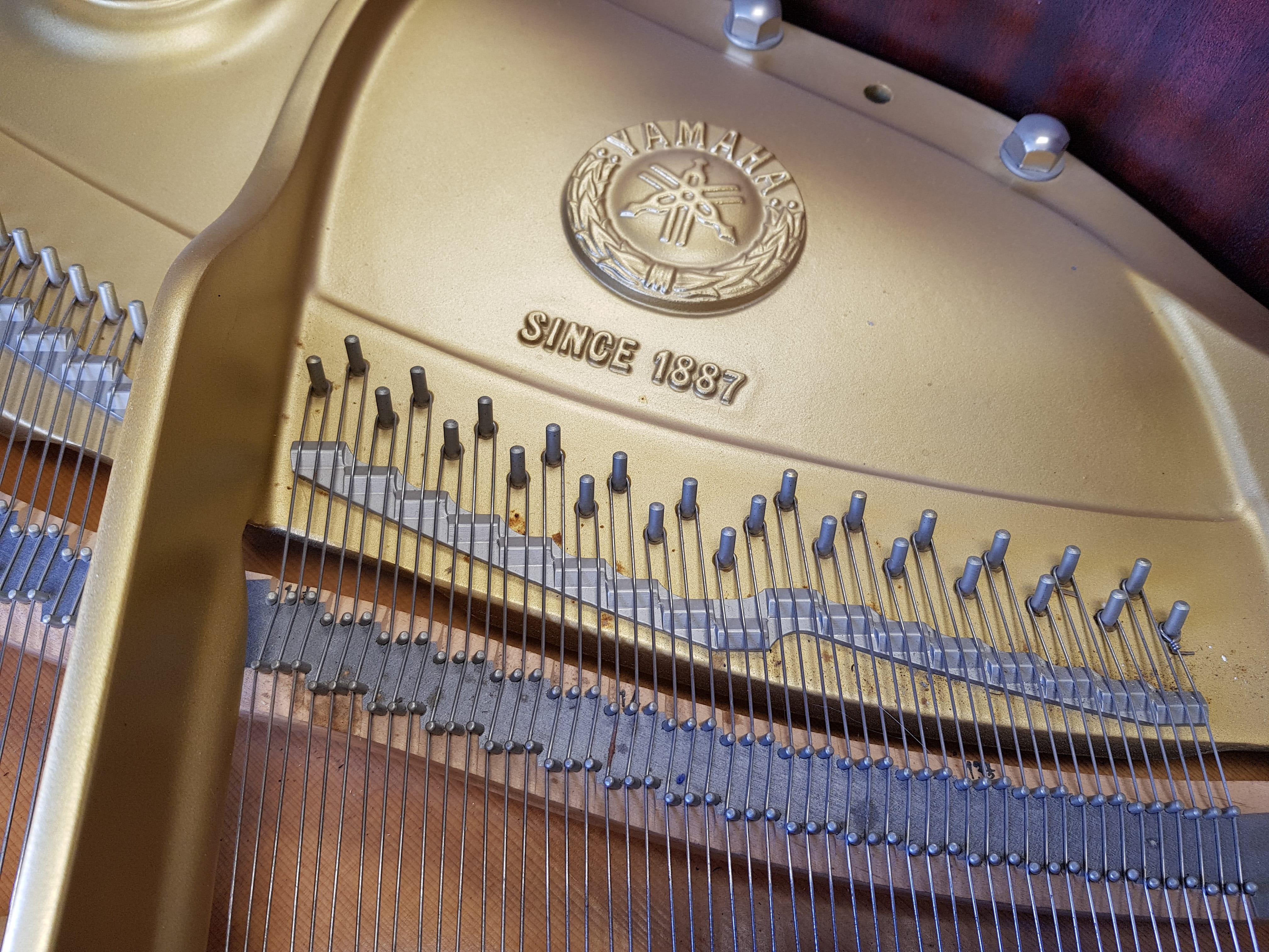 Yamaha G1