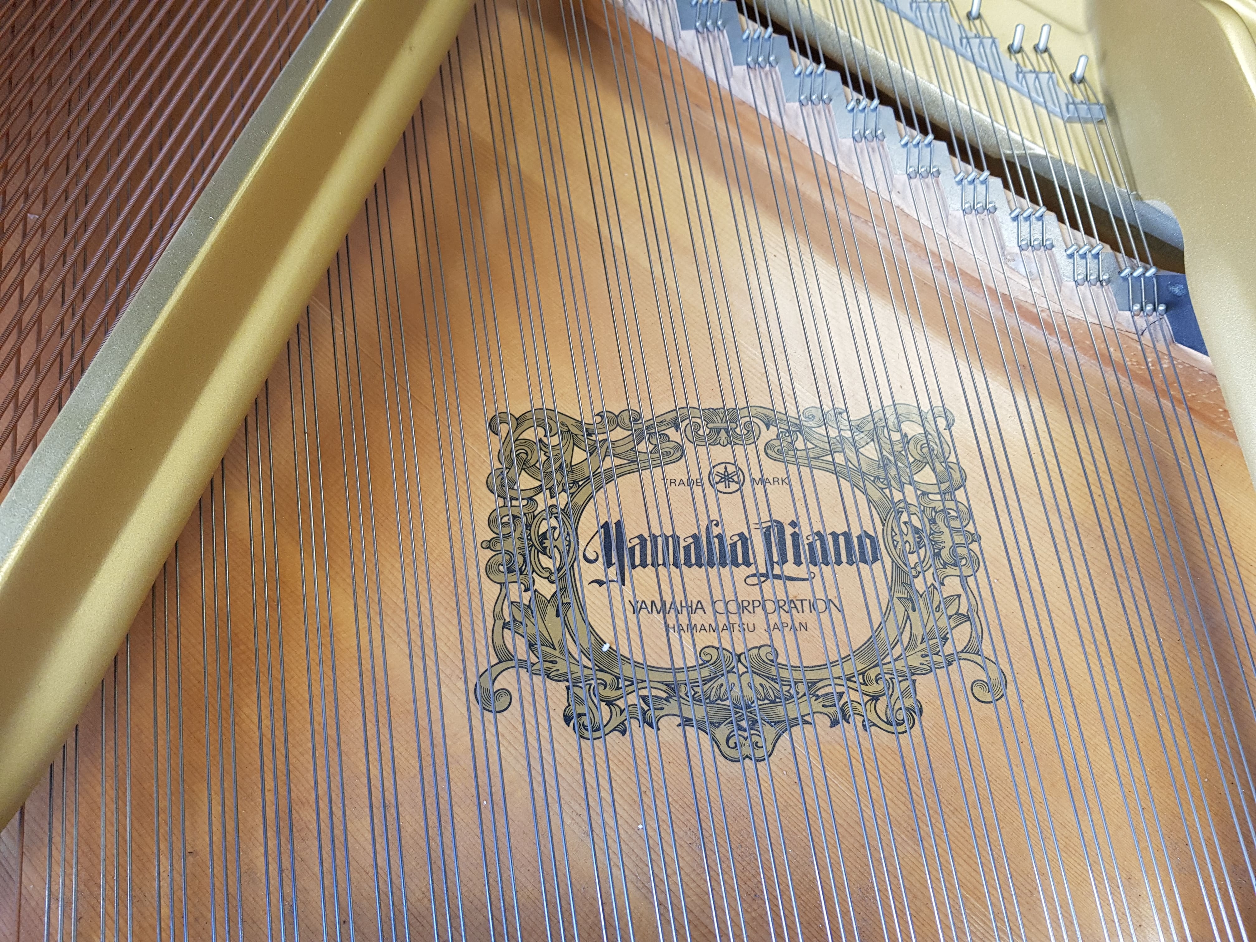Yamaha G1
