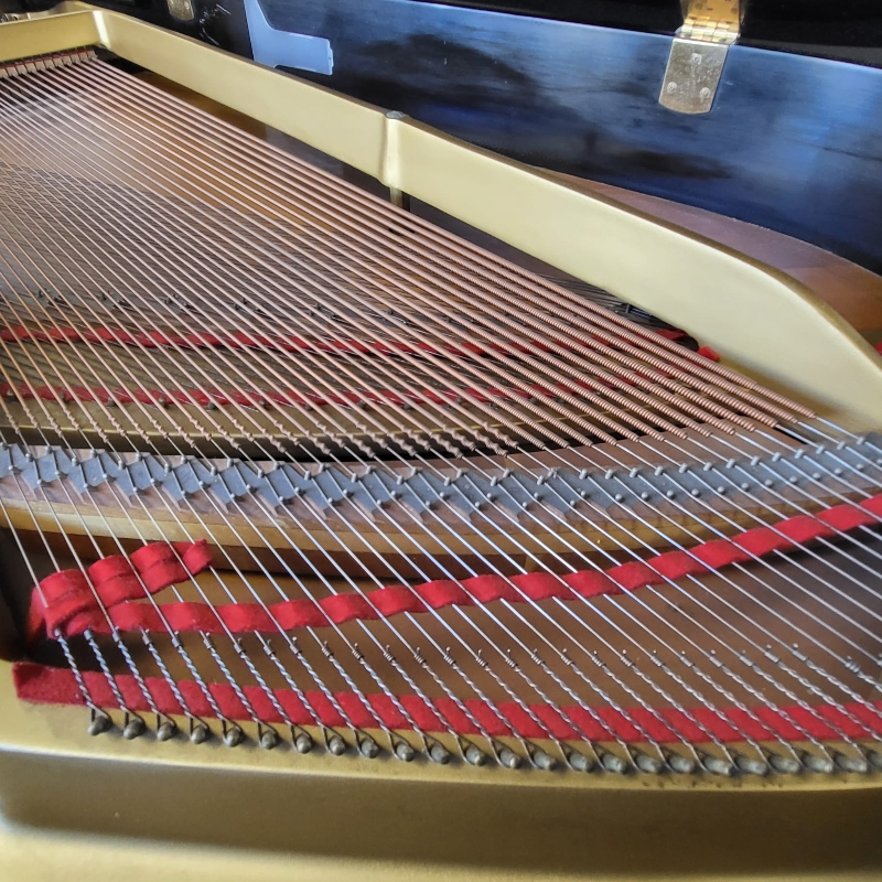 Yamaha G3E