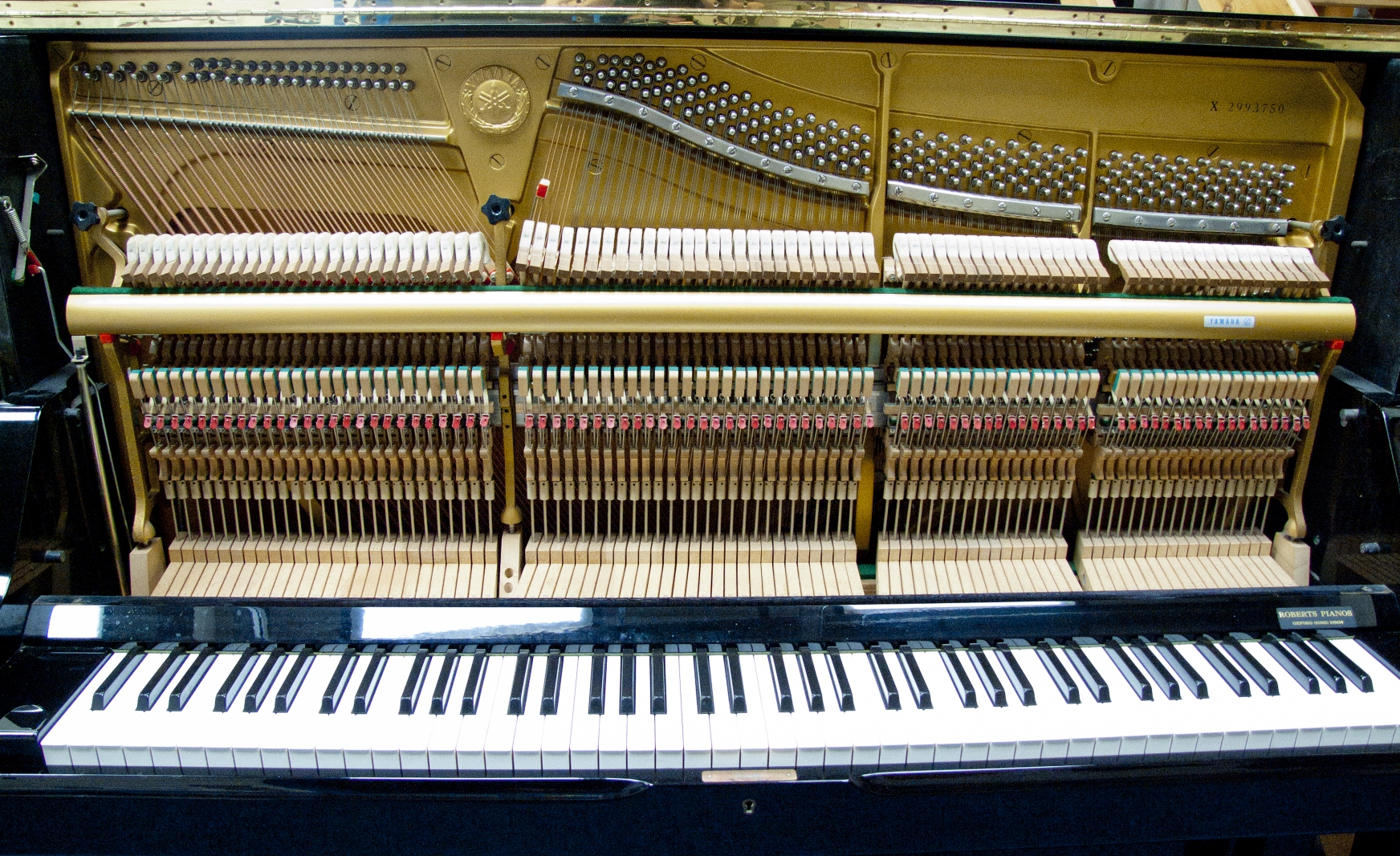 Yamaha X