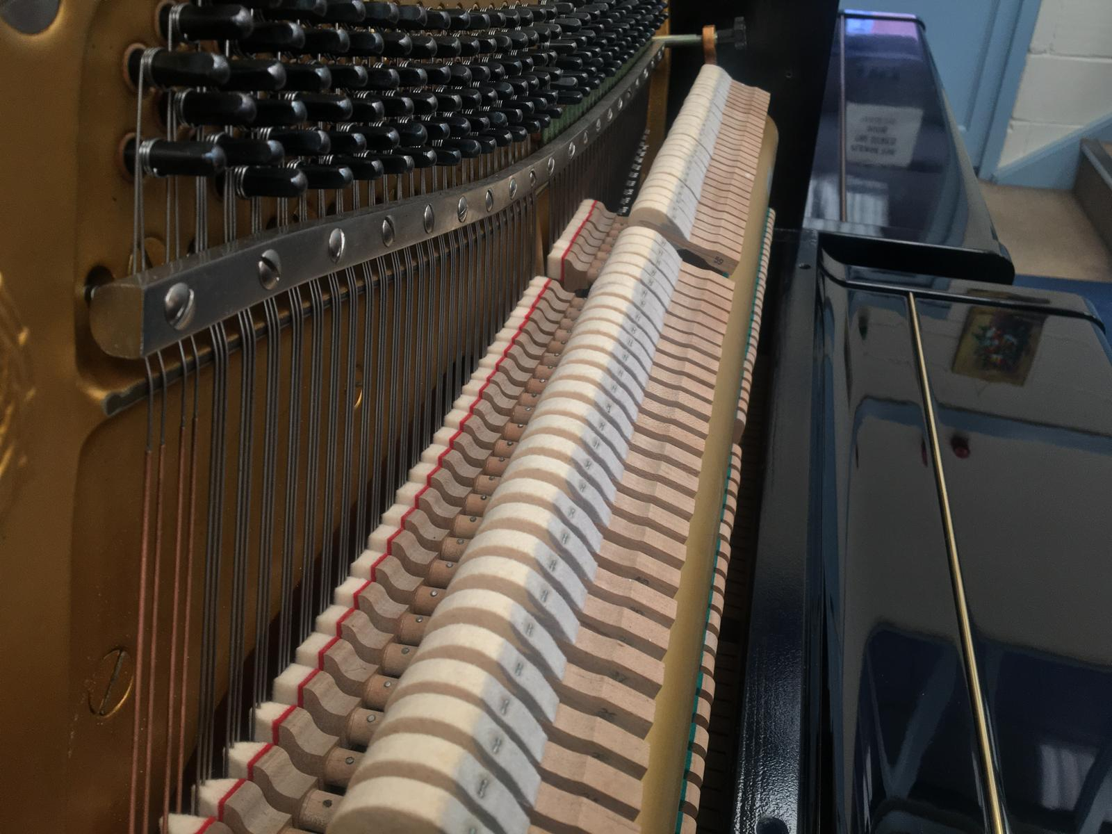 Yamaha U1G