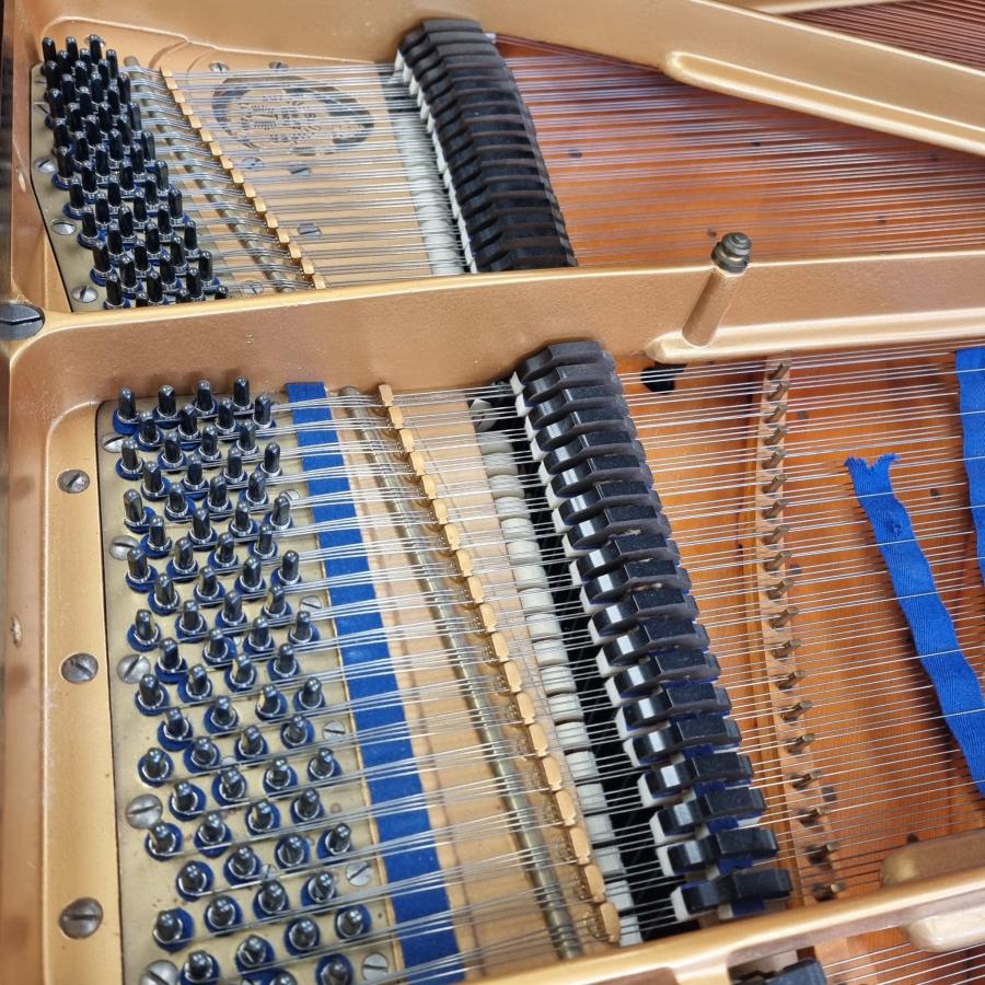 Bluthner Style VIII grand Piano in rosewood – Gallery image – Roberts Pianos Oxford