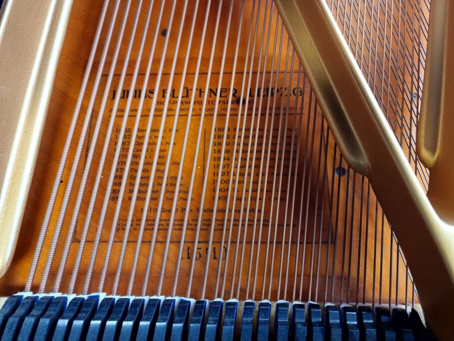 Bluthner Style VIII grand Piano in rosewood – Gallery image – Roberts Pianos Oxford