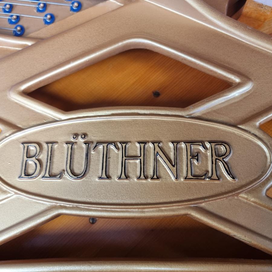 Bluthner Style VIII grand Piano in rosewood – Gallery image – Roberts Pianos Oxford