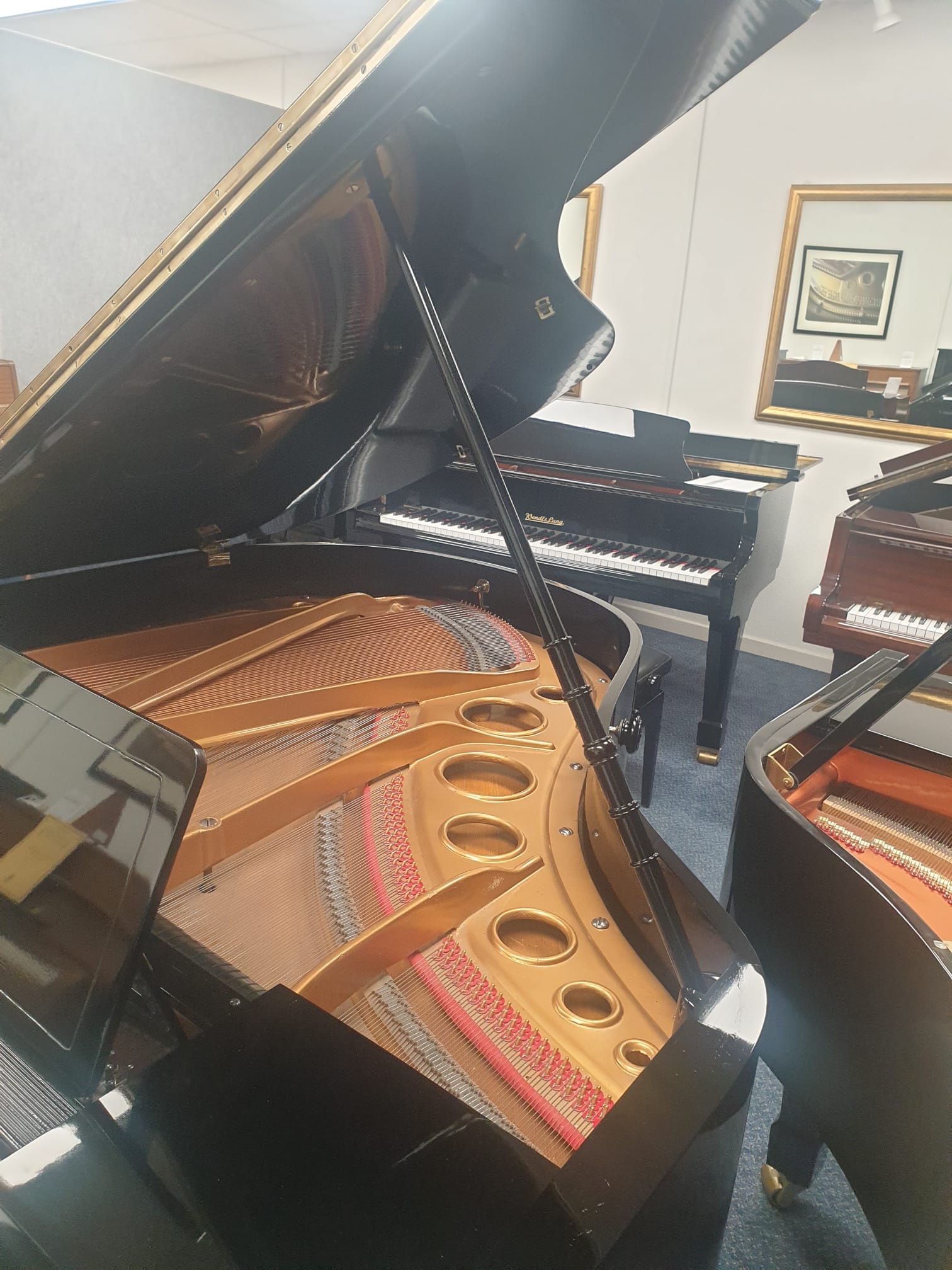 Bosendorfer 170