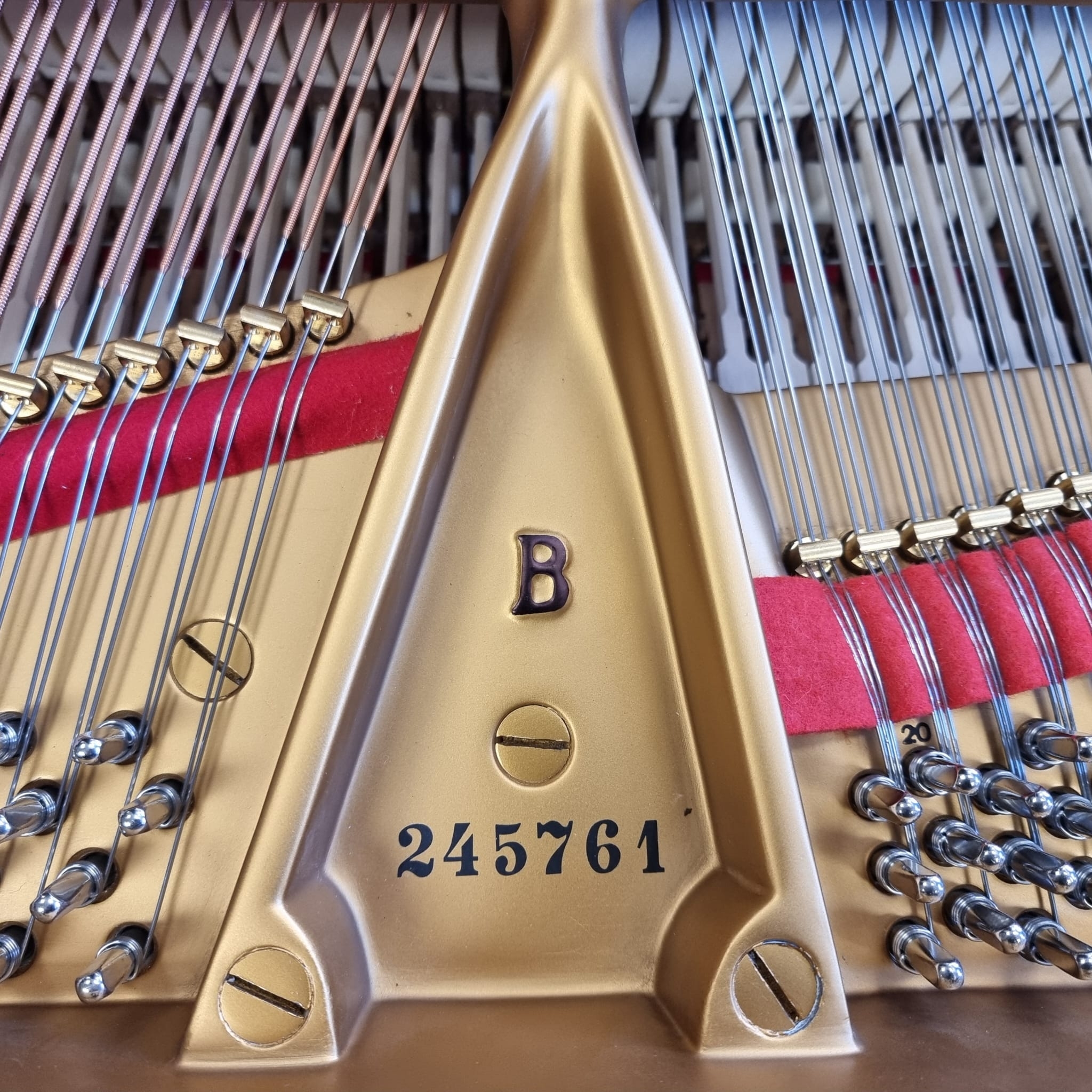 Steinway B