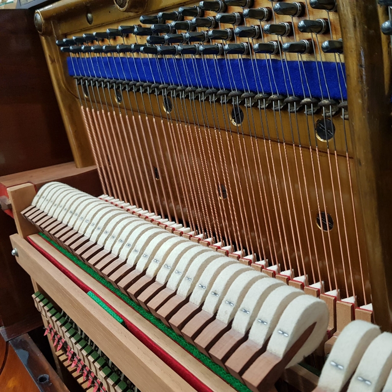Bechstein 10