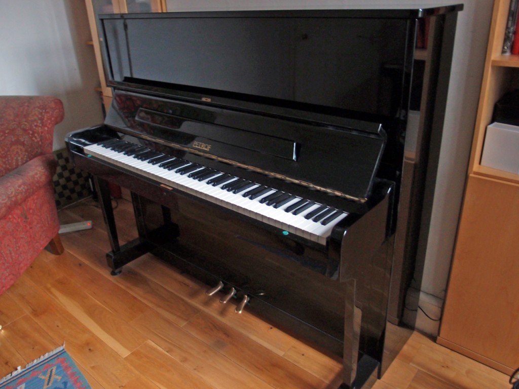 Taller Petrof uprights are well made; the touch is usually medium/heavy which is good for study; tone is rich and warm.