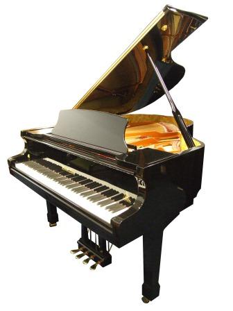 Wendl and Lung grand piano in bright black