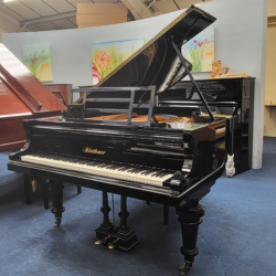 Grand piano rental offer